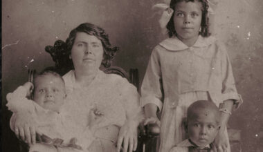 a-quiet-center-of-a-storm-susanne-kekich-and-the-tangled-family-trade-of